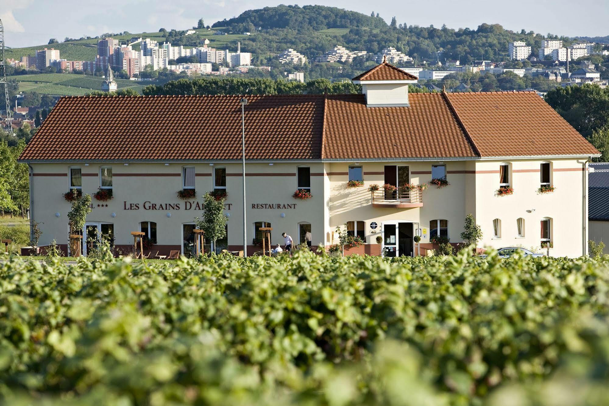 Hotel Restaurant Les Grains D'Argent Dizy - Epernay Exteriér fotografie